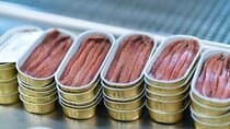 Visit and tasting in the factory of the Best Anchovies Santoña 