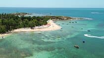 St. Aleixo Island and Day Use on LUP 