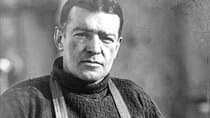 Shackleton Tour in the Falkland Islands