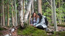 Mindful Forest Escape: Rebalance, reflect and connect