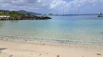 Private excursion DE Martinique EN convertible, Suv or minibus
