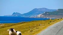 E-Bike Cycle Greenway - Westport To Achill Island- Bus Return 