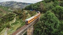 Dunedin Shore Excursion: Taieri Gorge Railway & City Sightseeing 