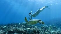 Private snorkeling tour Ishigaki island