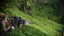 11 Day Kokoda Trek Australian and Local Guides