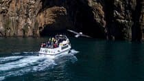 Puffin Islands and volcano Boat Tour