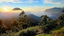 Coimbatore to Ooty Day Trip - Explore A Perfect Hill Station 