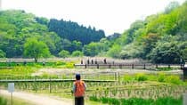 Lake Shidaka and Lake Kagurame Nordic Walking Tour