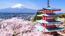 Private Mt. Fuji Day Trip from Tokyo with English-Speaking Driver