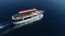 Dubrovnik: Elaphiti Islands Full-Day Cruise with Lunch