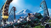 Mount Fuji Passes (optional)