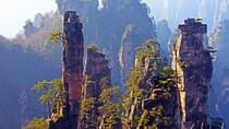 1-Day Private Tour to ZJJ National Forest Park & Avatar Mountain