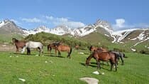 2-Day Kichi Alay Mountain Hiking Tour with Overnight Stay 