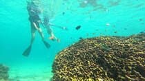 Snorkeling in Okinawa: Private booking