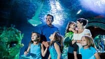 כרטיס כניסה לאקווריום Sea Life Charlotte Concord