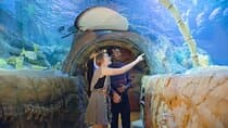 כרטיס כניסה לאקווריום SEA LIFE מישיגן