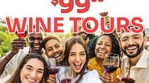 $99 Valle de Guadalupe Wine Tours - DayTrip to baja from San Diego