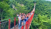 2025 Travelers’ Choice Best of the Best: DMZ Tour from Seoul
