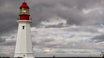 Harbor Highlights: Sydney City Tour
