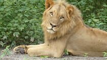 Private Full-Day Safari in Senegal from Banjul