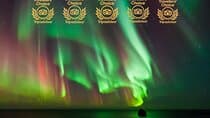 Northern Lights Tour In Iceland from Reykjavik with PRO photos