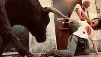 Walking tour of Pamplona: beyond the bulls 
