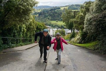 סיור חופי אייקוני: סיור האטרקציות בעיר דאנידין