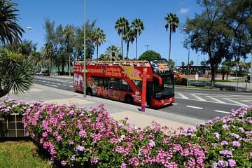 סיור האוטובוס של סיטי סייטסינינג לאס פאלמס דה גרן קנריה