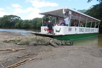 ספארי ק crocodילים בג'ונגל ובילוי בצפייה בציפורים/נהר טארקולס קוסטה ריקה