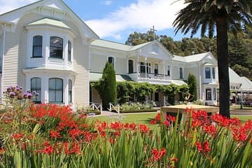 Premium - Hawke's Bay - Napier Winery Tour - 5.5 hours