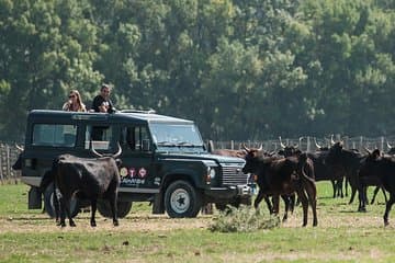 ספארי 4x4 של 3.5 שעות בקמארג' מלה גרו-דו רואה