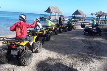 חיות בר ברואטן והרפתקת ATV.