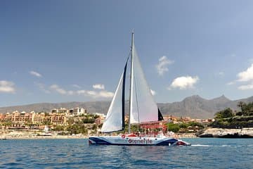 Whale watching and listening Eco-Catamaran Tour with Food Tasting
