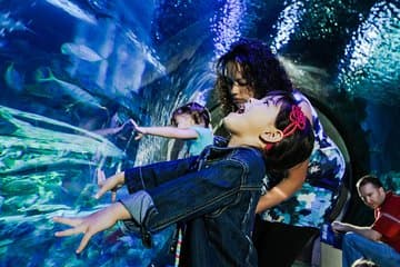 כרטיס כניסה לאקווריום SEA LIFE קנזס סיטי