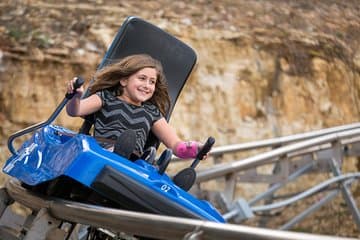 כרטיס לרכבת ההרים האלפינית של ברנסון