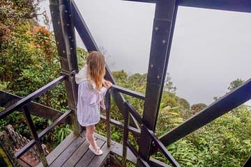 Cameron Highland Mossy Forest Experience Day Trip from Ipoh 