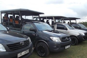 The Best Safari tour from Hambantota Port (Janaka safari)