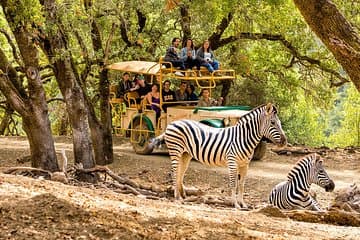Safari West Sonoma Adventure Tour