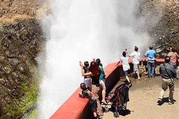 סיירו בדרך היין בבופונר בנמל עם לובסטרים חדשים