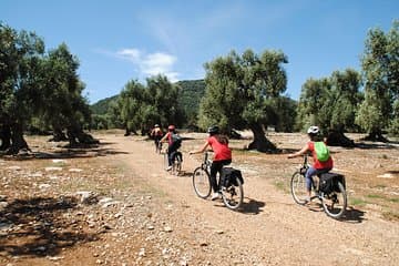 סיור באופניים עם שמן במונופולי