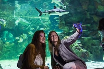 כרטיס כניסה לSEA LIFE ברייטון