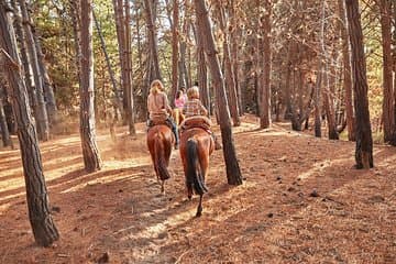 טיול רגלי בהר מאוקו ורכיבה על סוסים בחוף ריטוק ודיוותרמוסים מוולפאריסו