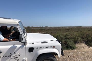 ספארי קמרג' 4x4 4 שעות - סיור פרטי - יציאה מארל.