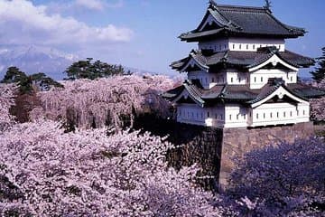 Hirosaki 6hr Private Tour with Government-Licensed Guide