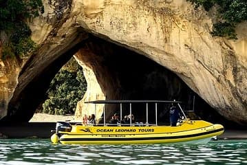 Ocean Leopard Tours - סיור שייט ב-Cathedral Cove