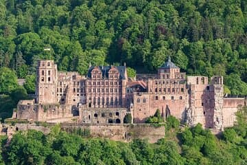 היידלברג ההיסטורית, מוזיאון מרצדס / Schloss שווצינגן, פרטי