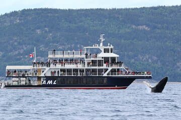 Tadoussac/Charlevoix: Whale Watching Tour