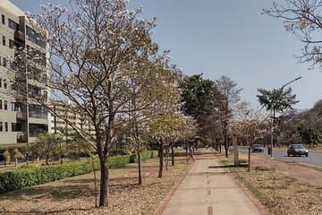 סיור עירוני פרטי בפורטוגזית, אנגלית וספרדית.