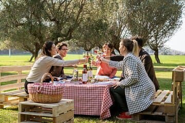 פיקניק של שעתיים בין עצי הזית עם מוצרים טיפוסיים מאדברוצו