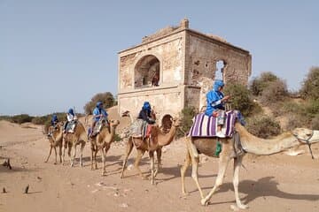 רכיבת גמלים פרטית ב Essaouira (שעה אחת).